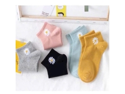 VỚ NỮ HOA CÚC 281 - LỐC 10 ĐÔI